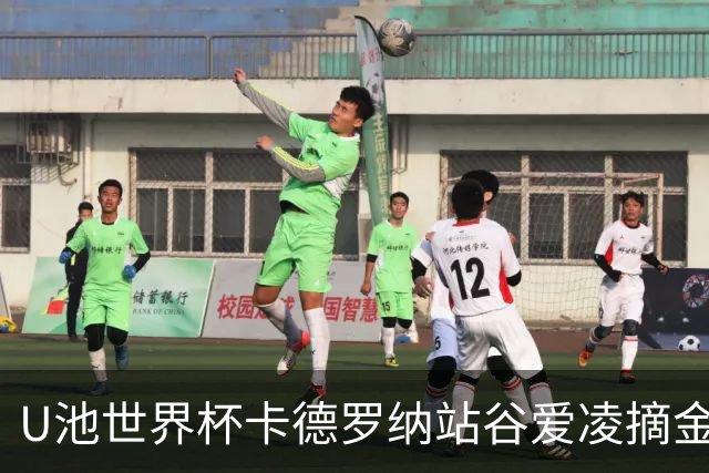 U池世界杯卡德罗纳站谷爱凌摘金 15个冠军创纪录